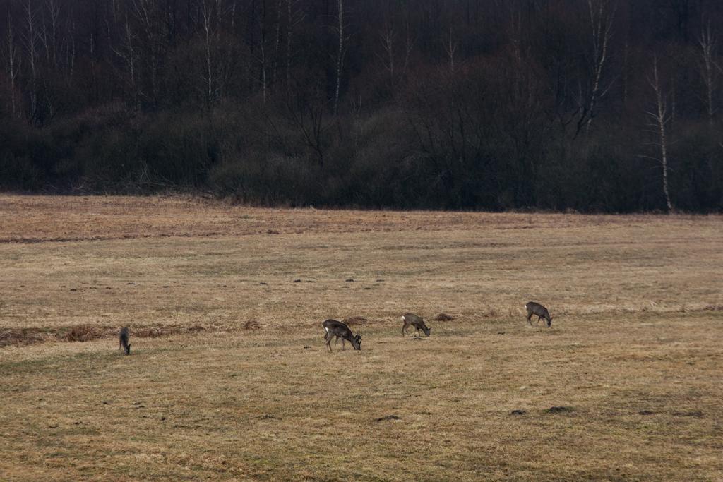 Apartamenty Lubiewo Mikołajki Buitenkant foto